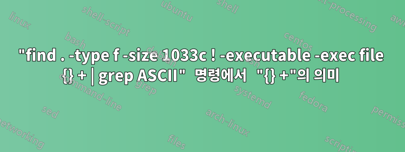 "find . -type f -size 1033c ! -executable -exec file {} + | grep ASCII" 명령에서 "{} +"의 의미