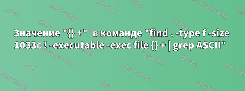 Значение "{} +" в команде "find . -type f -size 1033c ! -executable -exec file {} + | grep ASCII"