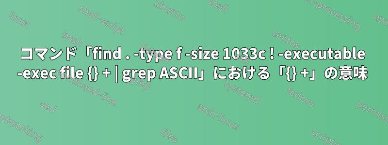 コマンド「find . -type f -size 1033c ! -executable -exec file {} + | grep ASCII」における「{} +」の意味