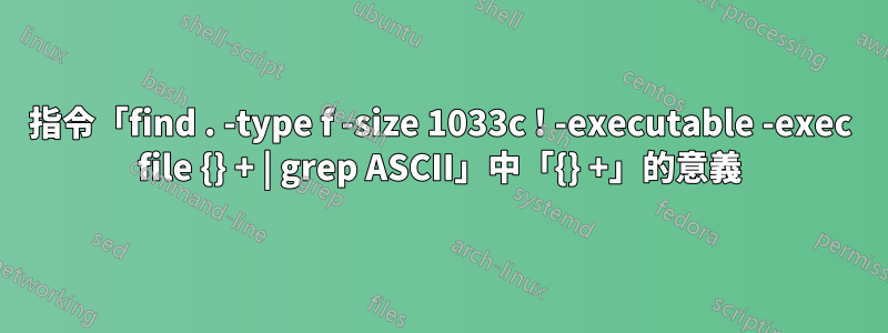 指令「find . -type f -size 1033c ! -executable -exec file {} + | grep ASCII」中「{} +」的意義