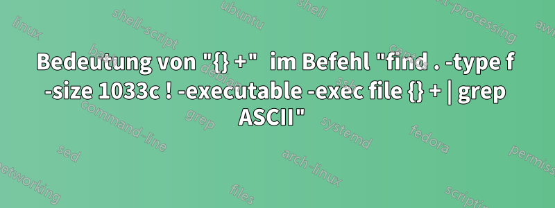 Bedeutung von "{} +" im Befehl "find . -type f -size 1033c ! -executable -exec file {} + | grep ASCII"