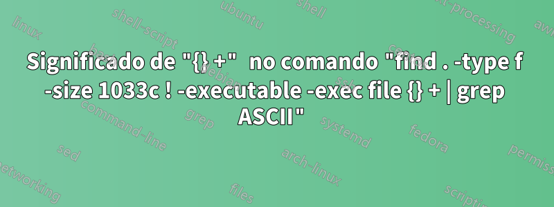 Significado de "{} +" no comando "find . -type f -size 1033c ! -executable -exec file {} + | grep ASCII"