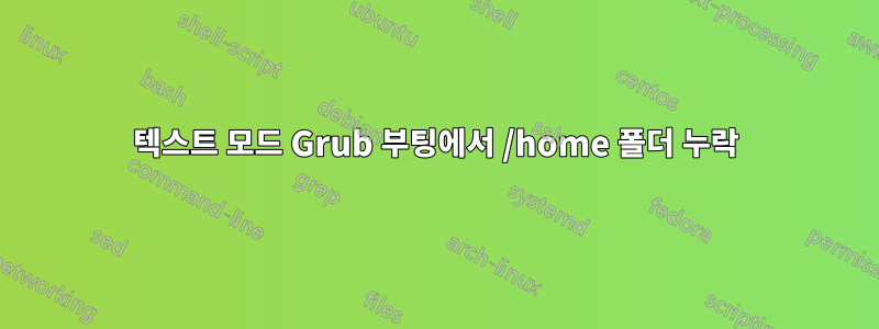 텍스트 모드 Grub 부팅에서 /home 폴더 누락