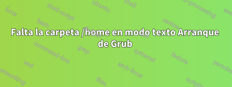 Falta la carpeta /home en modo texto Arranque de Grub