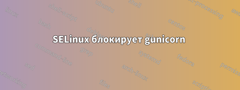 SELinux блокирует gunicorn