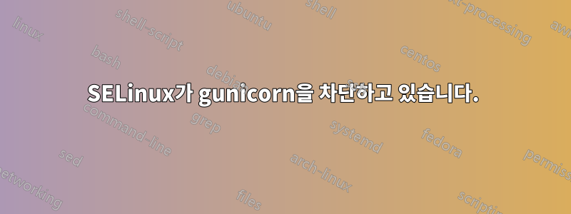 SELinux가 gunicorn을 차단하고 있습니다.