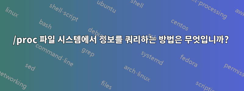 /proc 파일 시스템에서 정보를 쿼리하는 방법은 무엇입니까?