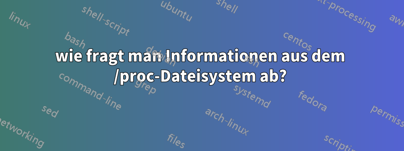 wie fragt man Informationen aus dem /proc-Dateisystem ab?