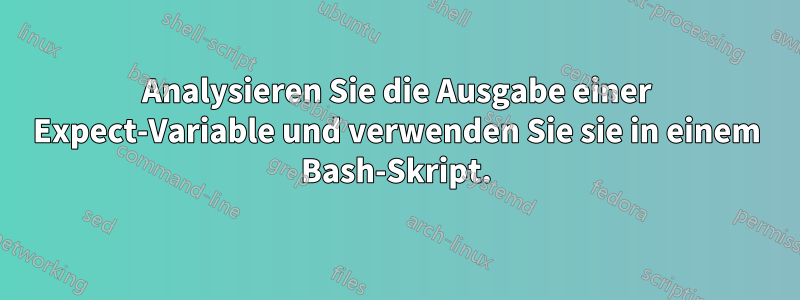 Analysieren Sie die Ausgabe einer Expect-Variable und verwenden Sie sie in einem Bash-Skript.