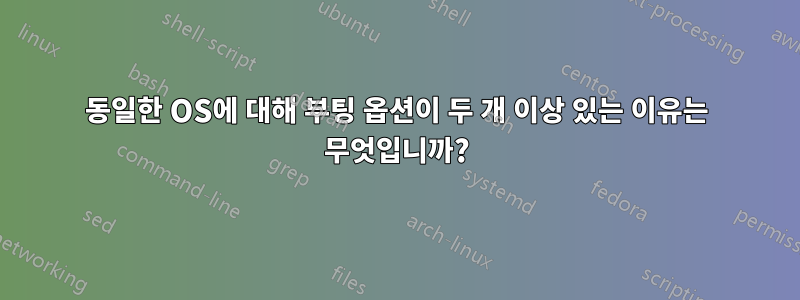 동일한 OS에 대해 부팅 옵션이 두 개 이상 있는 이유는 무엇입니까?