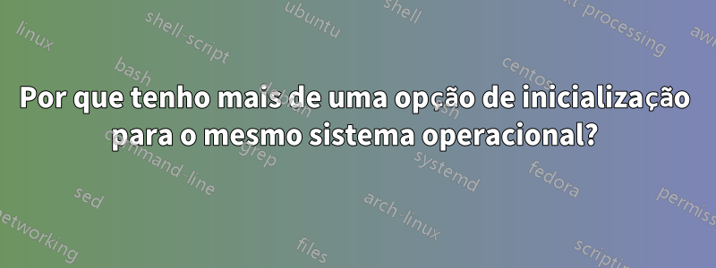 Por que tenho mais de uma opção de inicialização para o mesmo sistema operacional?