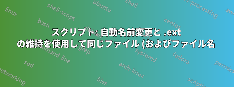 スクリプト: 自動名前変更と .ext の維持を使用して同じファイル (およびファイル名) を cp (または rsync) する方法