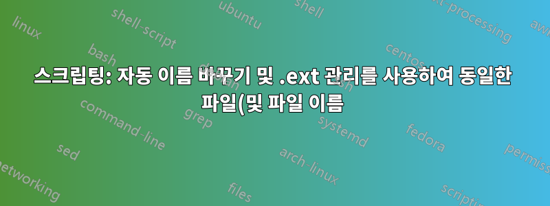 스크립팅: 자동 이름 바꾸기 및 .ext 관리를 사용하여 동일한 파일(및 파일 이름)을 cp(또는 rsync)하는 방법