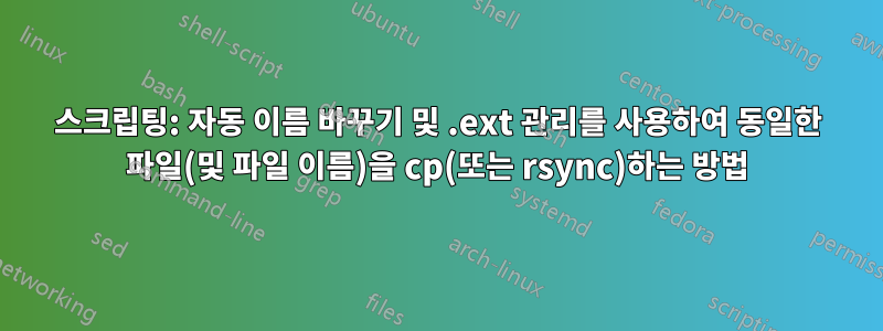 스크립팅: 자동 이름 바꾸기 및 .ext 관리를 사용하여 동일한 파일(및 파일 이름)을 cp(또는 rsync)하는 방법