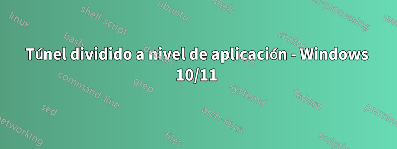 Túnel dividido a nivel de aplicación - Windows 10/11