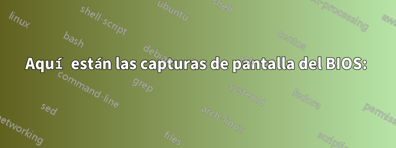 Aquí están las capturas de pantalla del BIOS:
