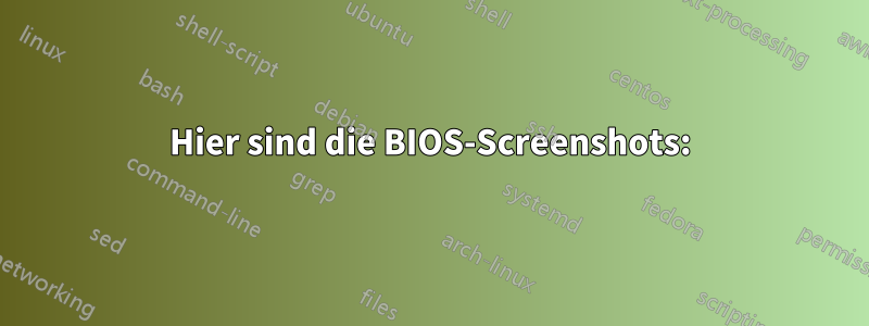 Hier sind die BIOS-Screenshots: