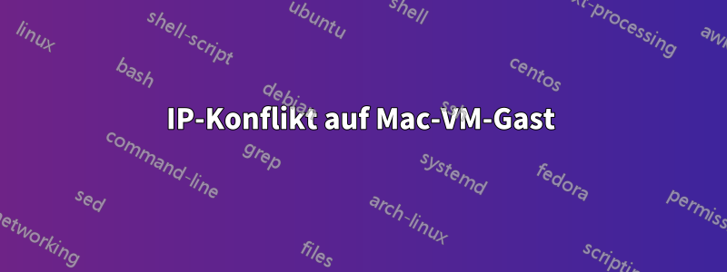 IP-Konflikt auf Mac-VM-Gast