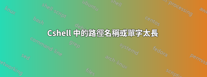 Cshell 中的路徑名稱或單字太長