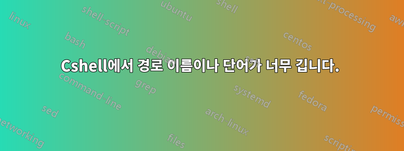Cshell에서 경로 이름이나 단어가 너무 깁니다.
