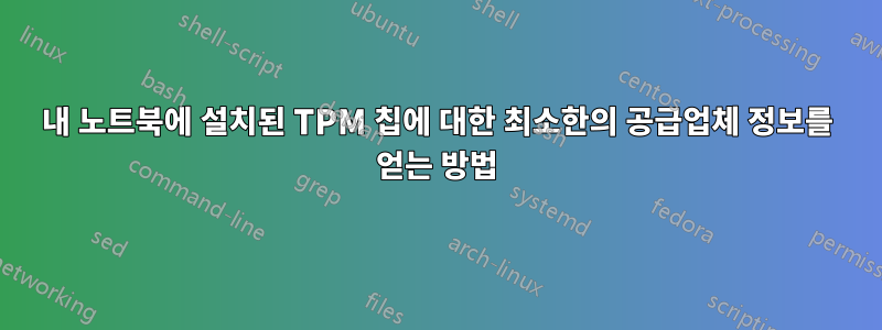 내 노트북에 설치된 TPM 칩에 대한 최소한의 공급업체 정보를 얻는 방법
