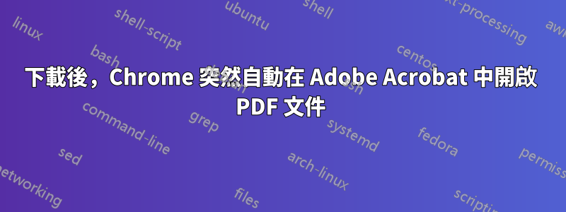 下載後，Chrome 突然自動在 Adob​​e Acrobat 中開啟 PDF 文件