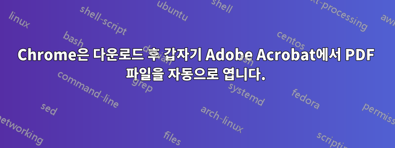 Chrome은 다운로드 후 갑자기 Adobe Acrobat에서 PDF 파일을 자동으로 엽니다.