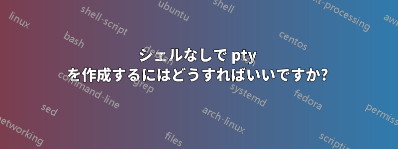 シェルなしで pty を作成するにはどうすればいいですか?
