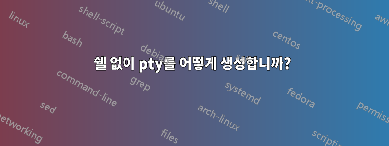 쉘 없이 pty를 어떻게 생성합니까?