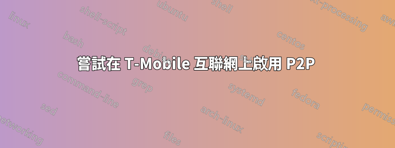 嘗試在 T-Mobile 互聯網上啟用 P2P