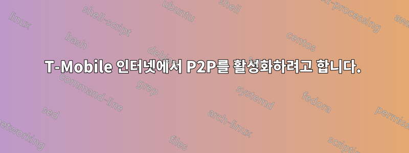 T-Mobile 인터넷에서 P2P를 활성화하려고 합니다.