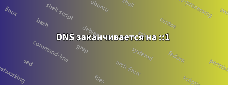 DNS заканчивается на ::1