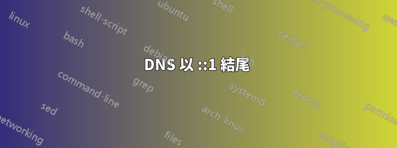 DNS 以 ::1 結尾