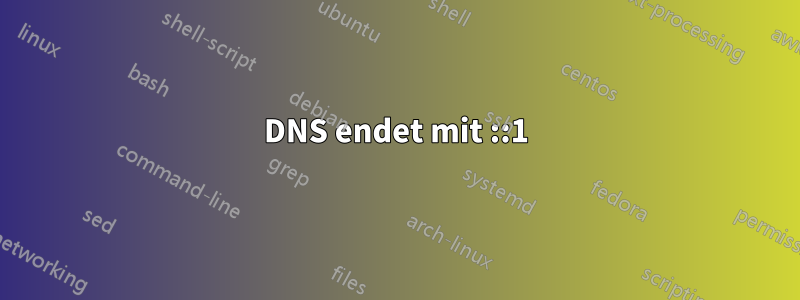 DNS endet mit ::1