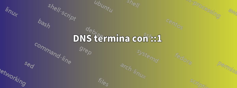 DNS termina con ::1