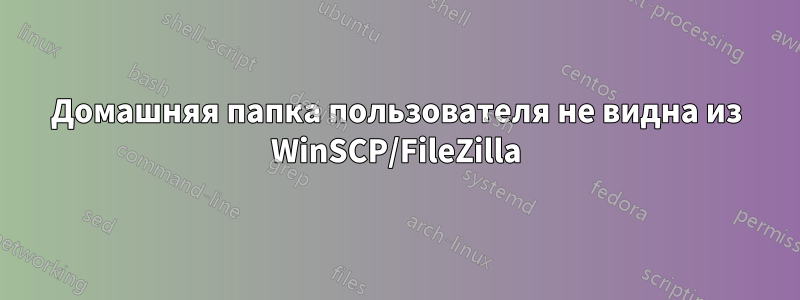 Домашняя папка пользователя не видна из WinSCP/FileZilla