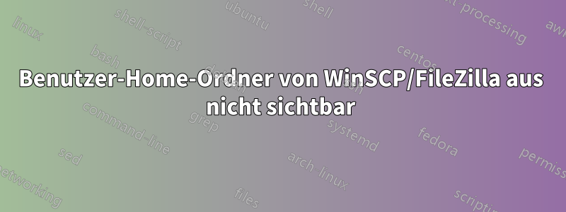 Benutzer-Home-Ordner von WinSCP/FileZilla aus nicht sichtbar