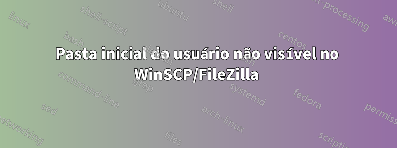 Pasta inicial do usuário não visível no WinSCP/FileZilla