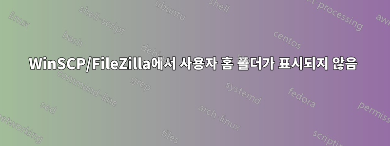 WinSCP/FileZilla에서 사용자 홈 폴더가 표시되지 않음