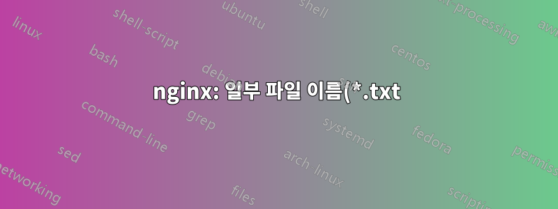 nginx: 일부 파일 이름(*.txt)에 대해서만 역방향 프록시에서 404를 직접 처리하는 방법은 무엇입니까?
