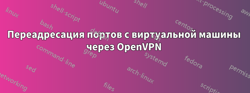Переадресация портов с виртуальной машины через OpenVPN