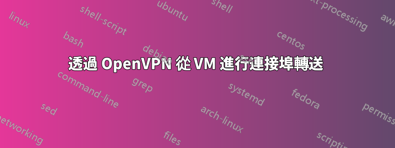透過 OpenVPN 從 VM 進行連接埠轉送