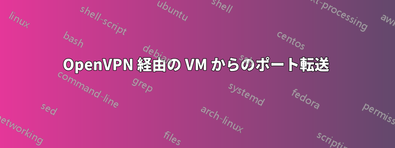 OpenVPN 経由の VM からのポート転送
