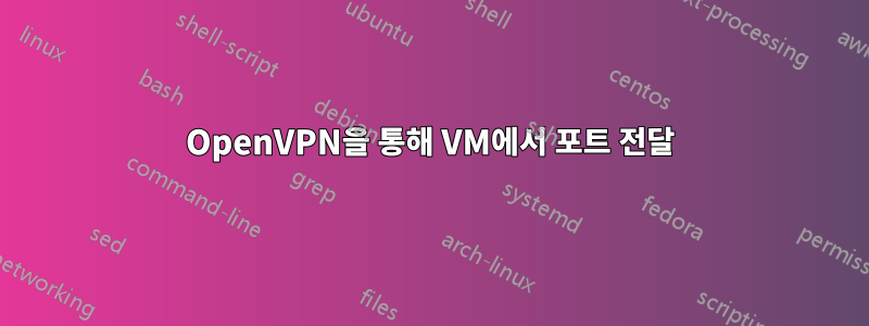 OpenVPN을 통해 VM에서 포트 전달