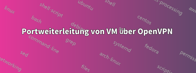 Portweiterleitung von VM über OpenVPN