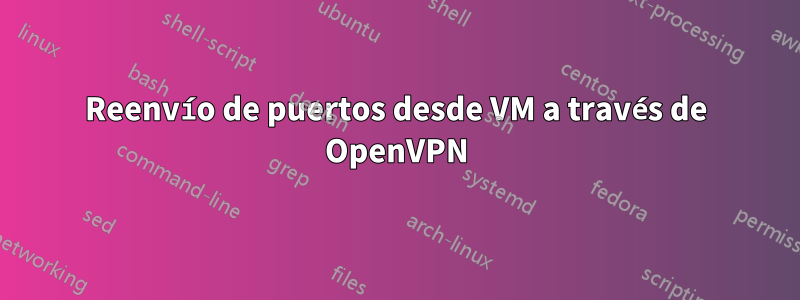Reenvío de puertos desde VM a través de OpenVPN