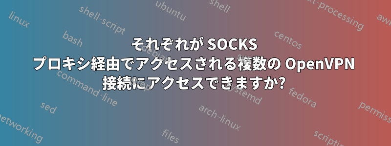 それぞれが SOCKS プロキシ経由でアクセスされる複数の OpenVPN 接続にアクセスできますか?