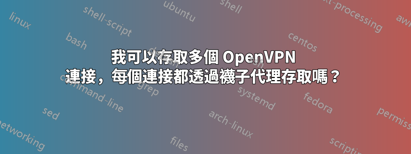 我可以存取多個 OpenVPN 連接，每個連接都透過襪子代理存取嗎？