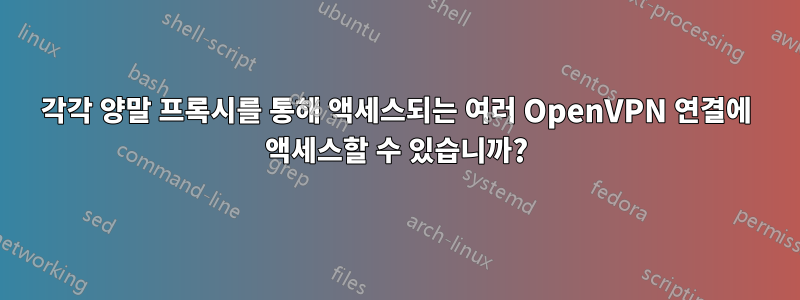 각각 양말 프록시를 통해 액세스되는 여러 OpenVPN 연결에 액세스할 수 있습니까?