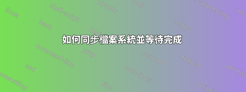 如何同步檔案系統並等待完成